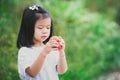 Portrait cute Asian girl holding red apple. Child are hungry and eat fresh fruit. Children wear white t shirts. Royalty Free Stock Photo