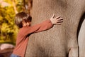 Portrait of a cute asian little girl hugging big tree. Royalty Free Stock Photo