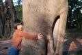 Portrait of a cute asian little girl hugging big tree. Royalty Free Stock Photo
