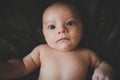 Portrait of cute baby boy lying on back. Two month old infant baby. Royalty Free Stock Photo