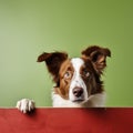 Portrait of a cute border collie puppy looking around the corner of an lime green empty board, AI Generated Royalty Free Stock Photo