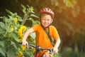 Portrait of a cute boy on bicycle. Happy smiking kid on bike. Child in safety helmet and orange shirt playing outdoors Royalty Free Stock Photo