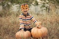 Portrait of cute boy in carnival orange glasses with pumpkins for Halloween. October, outdoor. Harvest and Halloween Royalty Free Stock Photo