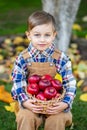 Portrait of a cute boy in the garden with a basket of red apples Royalty Free Stock Photo