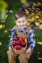 Portrait of a cute boy in the garden with a basket of red apples Royalty Free Stock Photo