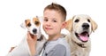 Portrait of a cute boy with two dogs Royalty Free Stock Photo