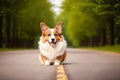 Portrait of a cute Cardigan Welsh Corgi dog standing in the park. Generative AI