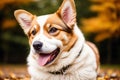 Portrait of a cute Cardigan Welsh Corgi dog standing in the park. Generative AI