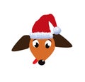Portrait of cute cartoon dachshund dog dressed in red santa`s ha Royalty Free Stock Photo