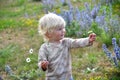 portrait of cute caucasian little boy holding daisy flower Royalty Free Stock Photo