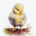 Portrait of a cute chick, watercolor illustration