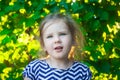 Portrait of a cute child, the girls are face on a background of green grape leaves Royalty Free Stock Photo