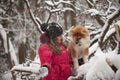 Portrait with a cute fluffy puppy. Winter walk with a dog. Royalty Free Stock Photo