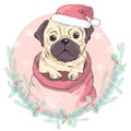 Portrait of cute french bulldog in red christmas hat on blue background. Vector illustration. Santa Claus. New Year`s