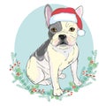 Portrait of cute french bulldog in red christmas hat on blue background. Vector illustration. Santa Claus. New Year`s