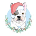 Portrait of cute french bulldog in red christmas hat on blue background. Vector illustration. Santa Claus. New Year`s