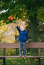 Caucasian red-haired boy with blue eyes holding autumn fall leaves in park Royalty Free Stock Photo