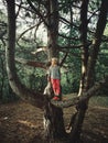funny little blonde Caucasian girl standing on large huge giant tree branch at sunset