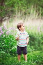 Portrait of a cute funny little boy toddler standing in the forest field meadow with dandelion flowers in hands Royalty Free Stock Photo