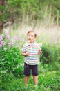 Portrait of a cute funny little boy toddler standing in the forest field meadow with dandelion flowers in hands Royalty Free Stock Photo