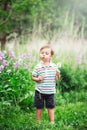 Portrait of a cute funny little boy toddler standing in the forest field meadow with dandelion flowers in hands Royalty Free Stock Photo