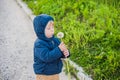 Portrait of a cute funny little boy toddler standing in the forest field meadow with dandelion flowers in hands and blowing them Royalty Free Stock Photo