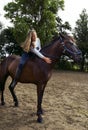 Portrait of cute girl  in helmet  horseback riding on brown horse Royalty Free Stock Photo