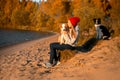 Portrait of happy girl with two funny border collie dog on beach at seaside. autumn yellow forest on background Royalty Free Stock Photo