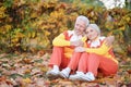 Portrait of happy senior couple in autumn park Royalty Free Stock Photo