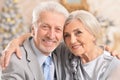 Portrait of cute hugging senior couple on blurred background Royalty Free Stock Photo