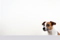 Portrait of a cute jack russel puppy looking around the corner of a white empty board, AI Generated Royalty Free Stock Photo