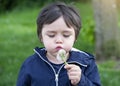 Portrait of Cute Kid blowing dandelion with blurry gree natural background, Active Child boy playing outdoor in the park in Spring Royalty Free Stock Photo