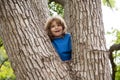 Portrait of cute kid boy sitting on the big old tree on summer day. Child climbing a tree. Little boy sitting on tree Royalty Free Stock Photo