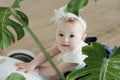 Portrait of cute little baby girl at home. Nice child. Royalty Free Stock Photo