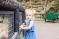 Portrait of cute little blondy toddler girl looking at camera and leaning on a wooden fence in the zoo or city park Child safety c Royalty Free Stock Photo