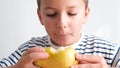 Portrait of a cute little boy against a white wall eating a juicy pear. High quality 4k video Royalty Free Stock Photo