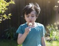 Portrait of Cute little boy blowing dandelion with bright light sunny day, Active kid playing in the outdoor on spring or ummer, Royalty Free Stock Photo