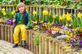 Portrait of a cute little boy Royalty Free Stock Photo