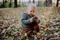 Portrait of cute little boy playing with conifer cone and wearing knitted hoodie in nautre, autumn concept. Royalty Free Stock Photo