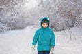 Portrait of a cute little boy stands in winter Royalty Free Stock Photo