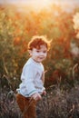 Portrait of cute little boy staying on the grass. Smiling child, curly hair toddler in autumn park Royalty Free Stock Photo