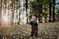 Portrait of cute little boy wearing knitted hoodie in nautre,during sunset, autumn concept. Royalty Free Stock Photo