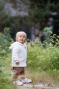 Portrait of cute little caucasian baby girl one year old takes the first steps and learns to walk in park at autumn Royalty Free Stock Photo