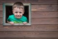 Boy looking through the window Royalty Free Stock Photo