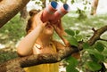 Portrait of cute little explorer girl looking through a binoculars exploring and learning the nature life in summer day in park.