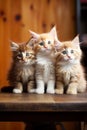 Portrait cute little funny striped red Kittens sitting on table with copyspace