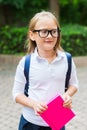 Portrait of a cute little girl Royalty Free Stock Photo