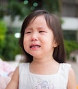 Portrait of a cute little girl Royalty Free Stock Photo