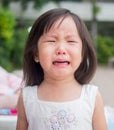 Portrait of a cute little girl Royalty Free Stock Photo