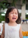 Portrait of a cute little girl Royalty Free Stock Photo